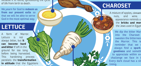 Passover Seder Plate infograhpic